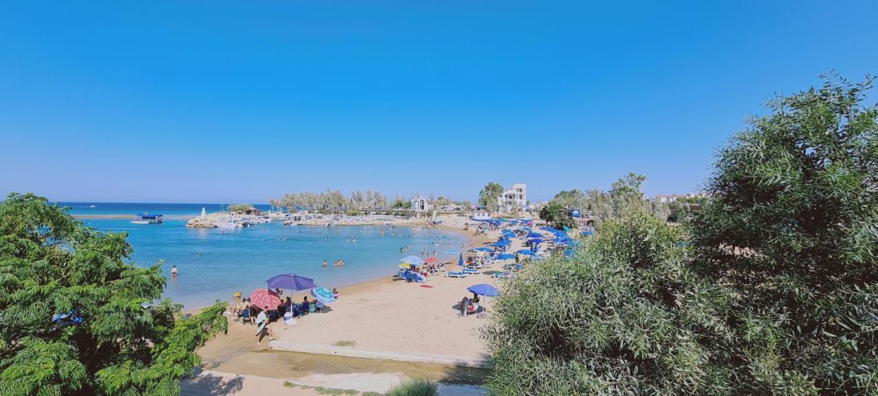 Stay Trinity Beach Apts 帕拉利米尼 外观 照片